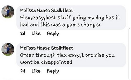 Melissa Stalkfleet Dog quote